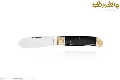 چاقوی میوه خوری سفارشی دادو تیغه ضدزنگ